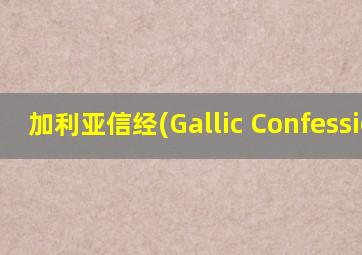 加利亚信经(Gallic Confession)